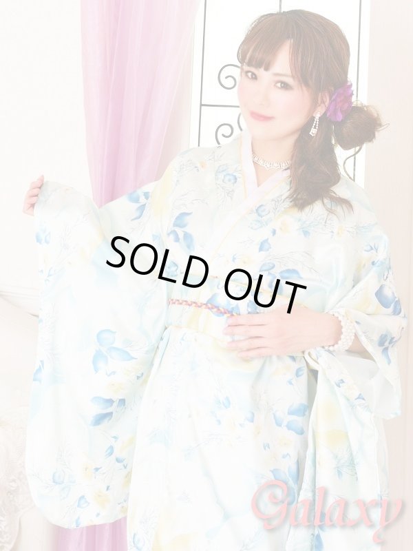 画像5: 豪華*本格着物*花柄ロングドレス*浴衣*和柄*コスプレ (5)