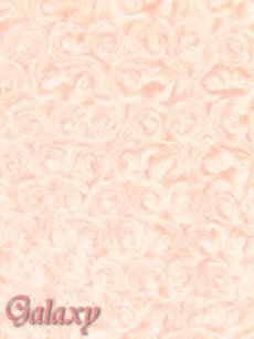 画像4: 薔薇モチーフ*ショート丈ふわふわフェイクファーボレロ (4)