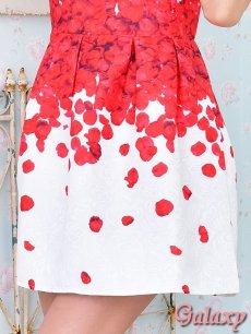 画像9: アンティーク調*花びら柄*ノースリAラインミニワンピース*S/M/L/XL (9)